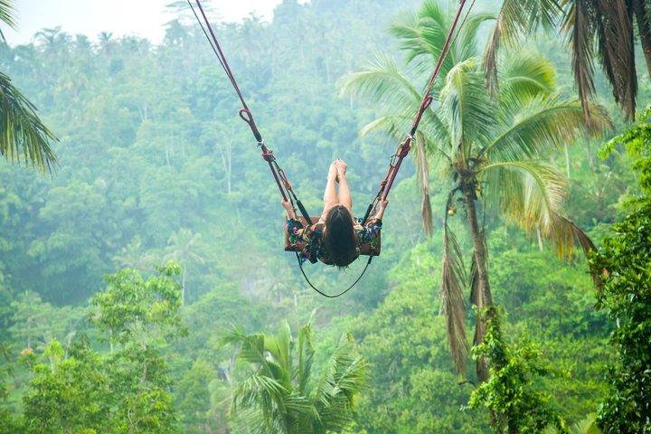 Ubud: Monkey Forest, Rice Terrace, Elephant Cave & Waterfall Tour