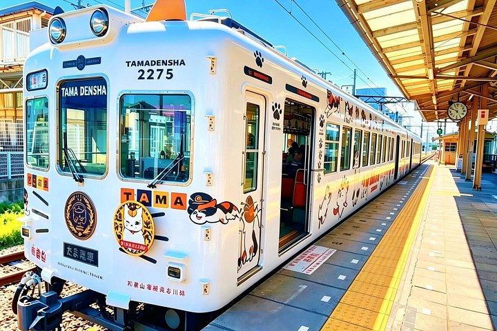 関西から和歌山県までのクラシック日帰りツアー