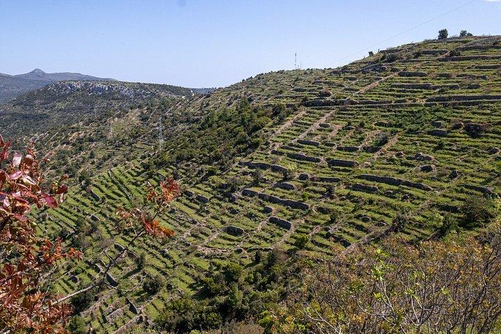 本格的なHvar：村、ワイン＆シーニックアイランドの旅