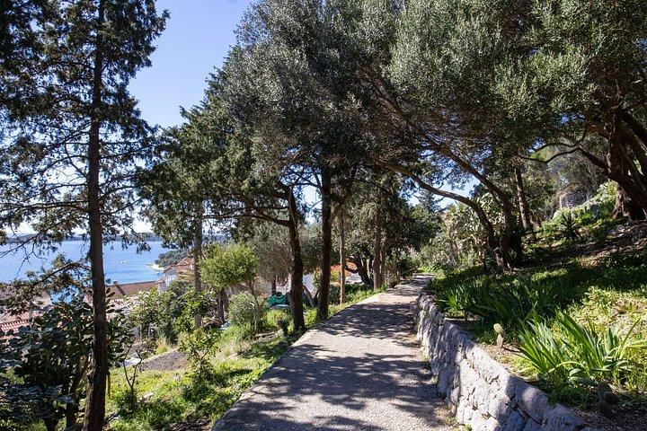 本格的なHvar：村、ワイン＆シーニックアイランドの旅