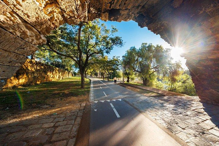 プライベートショアツアー：マリア・ルイサ公園＆スペイン広場の秘密