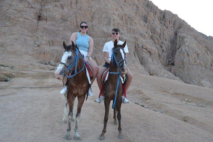 Hurghada - ridning en time i ørkenen med overførsler