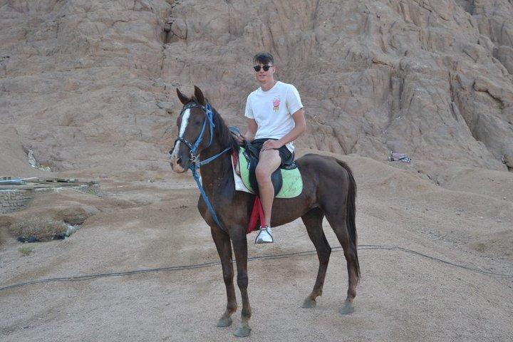Hoteller i nærheden af Hurghada - 2 Hour Horse Ride Beach & Desert