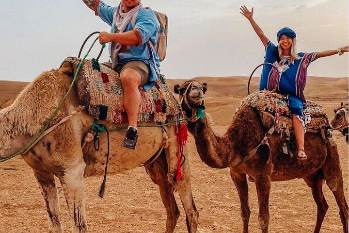 アガファイ砂漠バギーライド、ラクダライド、ディナーショー