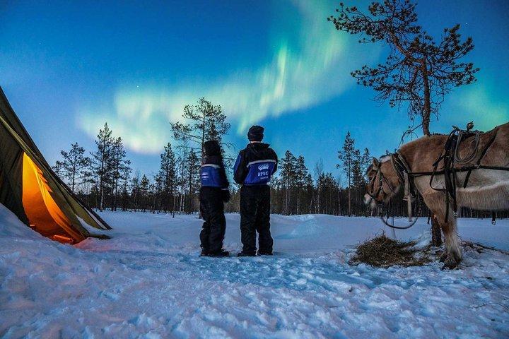 ロヴァニエミ、アプッカ リゾートの夜空の下での馬そり体験