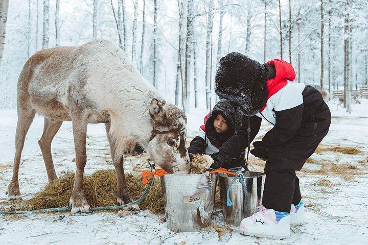 Apukka Snow and Fun, Rovaniemi