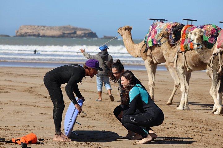 Small Group Surf Lesson in Essaouira 3 Hour Experience