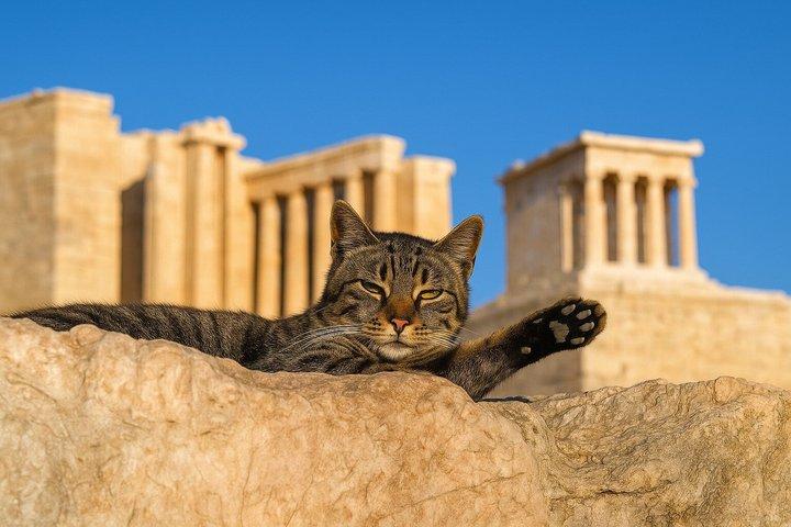 Athene : Akropolis Kleine groep (Max : 8) Rondleiding