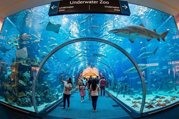 水中水族館、動物園＆レイクライド付きプライベートドバイシティツアー