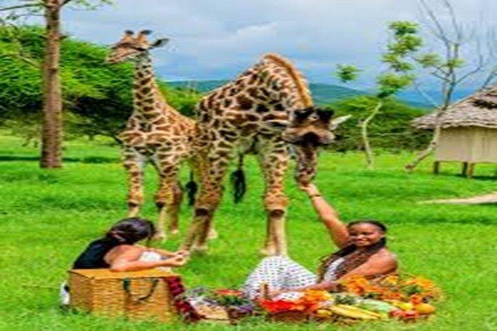 ダルエスサラーム発JKTルブキャンプ終日野生動物アドベンチャー