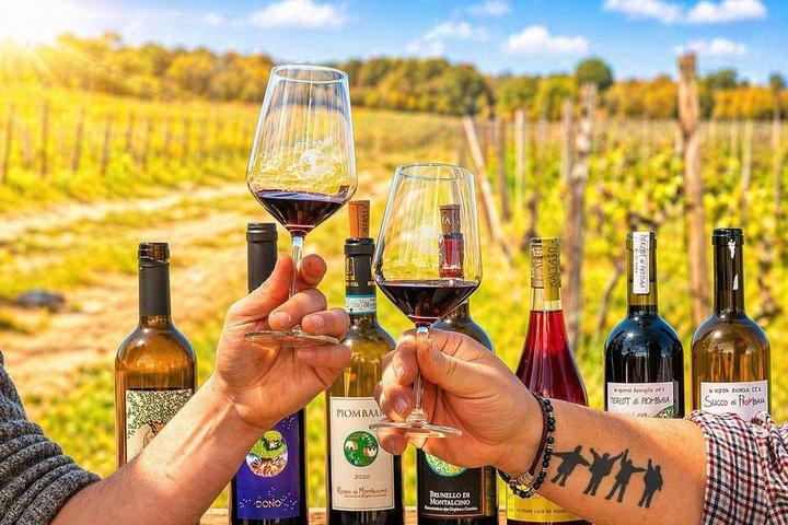 Viagem diurna por San Gimignano, Chianti e Montalcino saindo de Siena