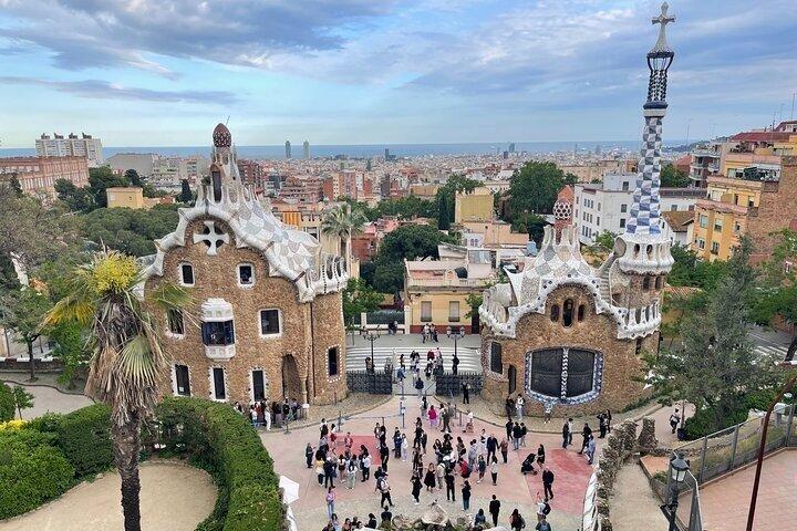 Park Güell Tour mit Fachkundiger Tourleiter