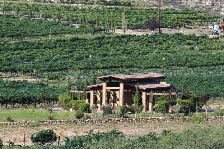 Dagtrip naar Verde Valley Winery vanuit Scottsdale voor maximaal 35 gasten