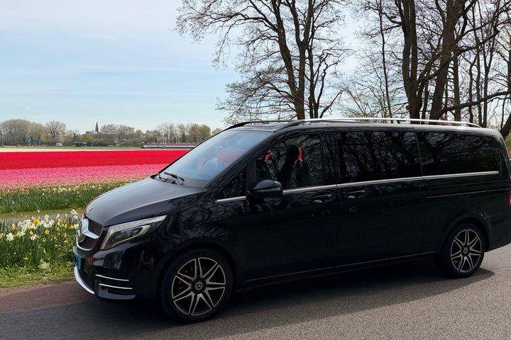 プライベートツアーアムステルダム・キューケンホフチューリップ、風車カントリーサイド