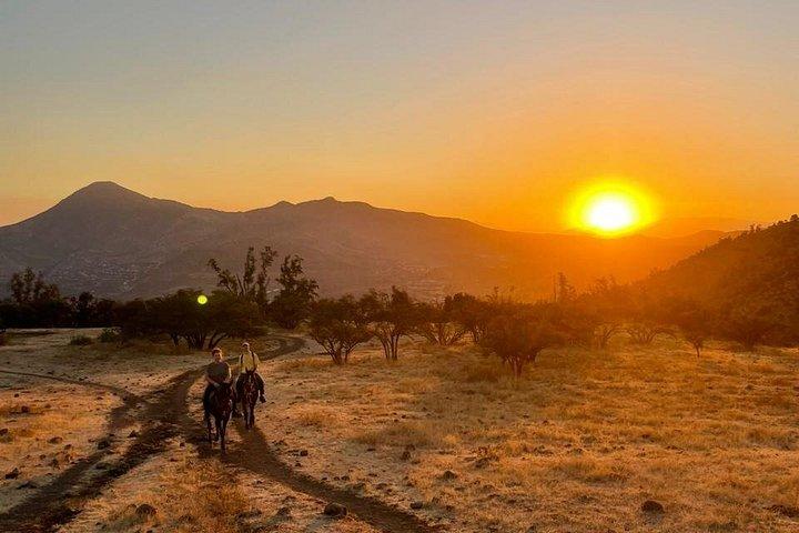 Horseback Riding and Appetizer Looking at Santiago