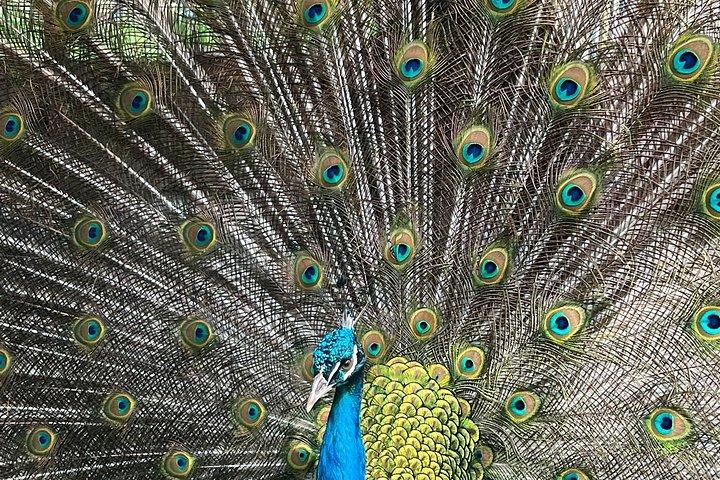Istanbul Asian Side Tour Joshuas Hill and Nature Views