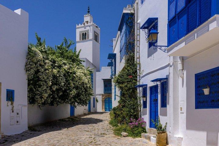 Excursion VIP Tunis Medina, Bardo Carthage & Sidi BouSaid