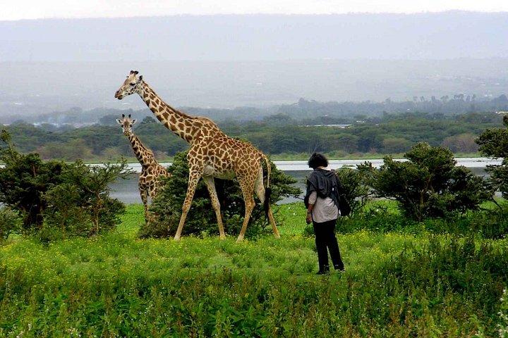 ヘルズゲートNP日帰りツアー（サイクリングとナイバシャ湖ボートライド付き）