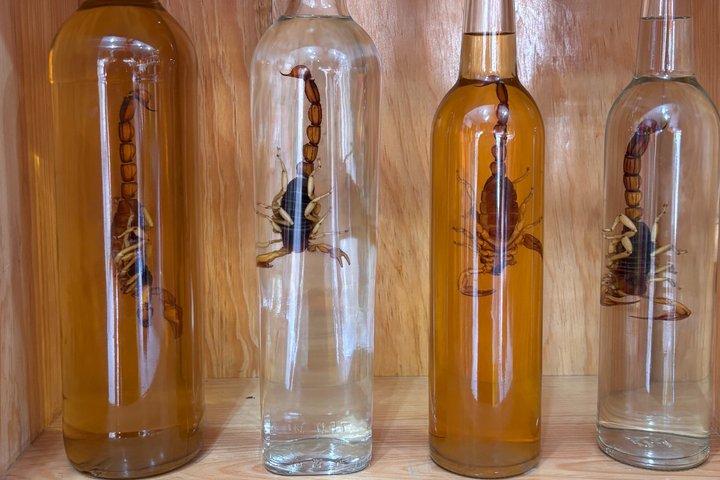 Authentic Mezcal Experience Oaxaca Small Group Local Producers
