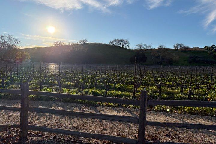 Cycling and Guided Wine Tasting in Solvang CA