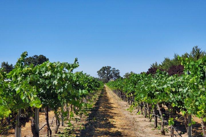Cycling and Guided Wine Tasting in Solvang CA