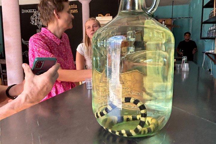 Authentic Mezcal Experience Oaxaca Small Group Local Producers