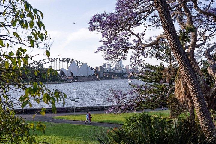 Private Sydney City Walking Experience Tour