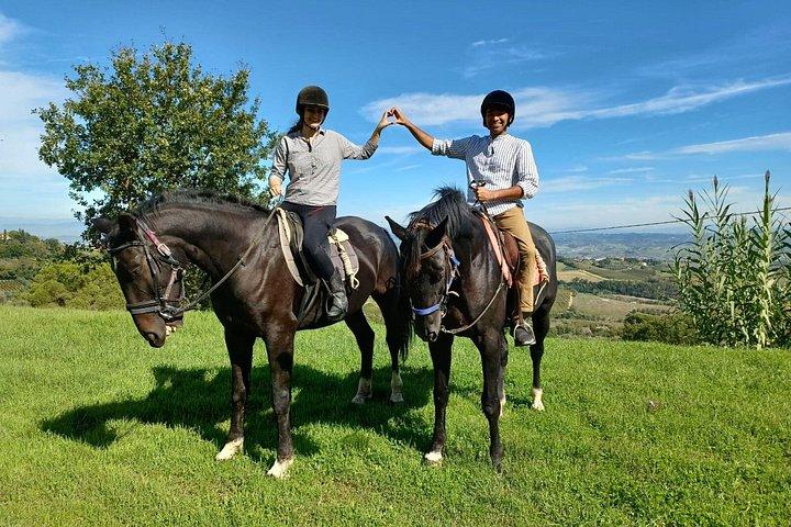 少人数乗馬ワインツアー、サン・ジミニャーノ、ランチ