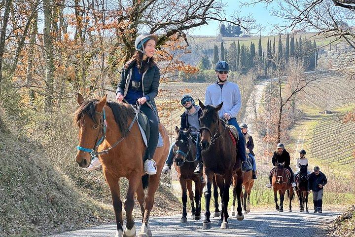 少人数乗馬ワインツアー、サン・ジミニャーノ、ランチ