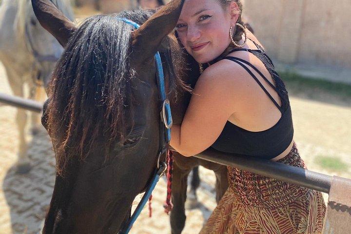 少人数乗馬ワインツアー、サン・ジミニャーノ、ランチ