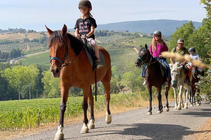 Wijntour te paard met kleine groep, San Gimignano, Lunch