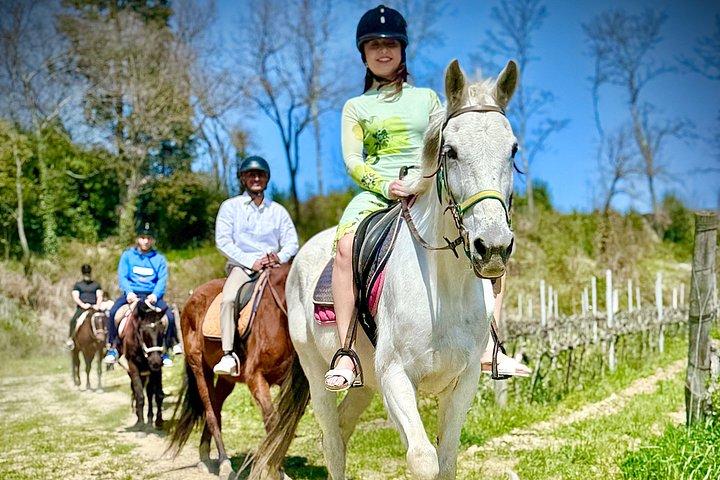 少人数乗馬ワインツアー、サン・ジミニャーノ、ランチ