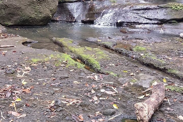 Soufriere Private Land Tour & Mud Baths