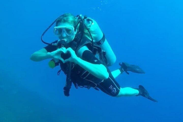 ダハブでスキューバファンダイブ