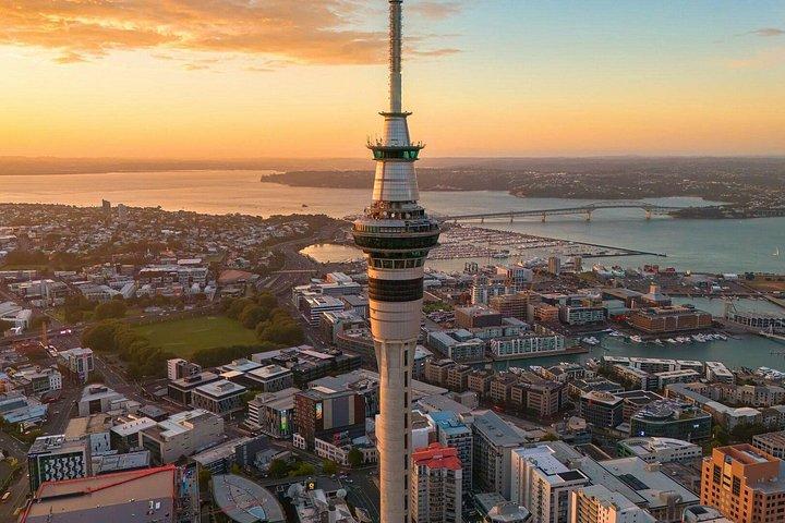 ベスト・オブ・オークランド小グループツアー人気観光スポット＆絶景