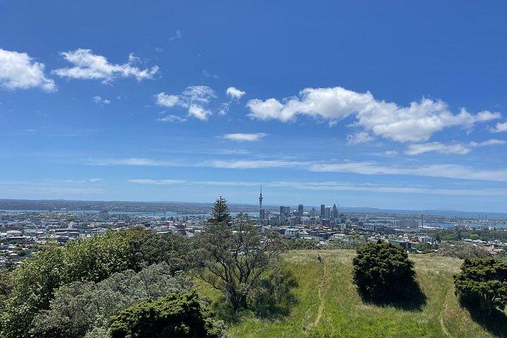 ベスト・オブ・オークランド小グループツアー人気観光スポット＆絶景