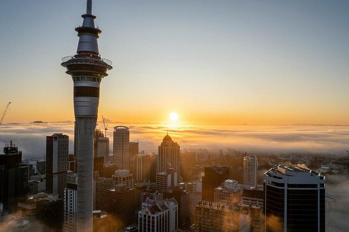 ベスト・オブ・オークランド小グループツアー人気観光スポット＆絶景