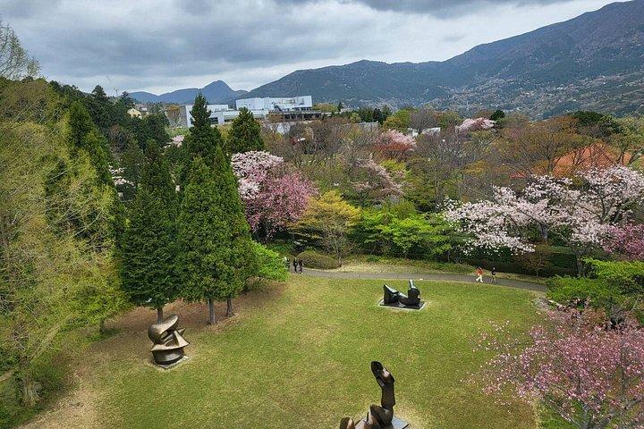 Privé Hakone-tour vanuit Tokio