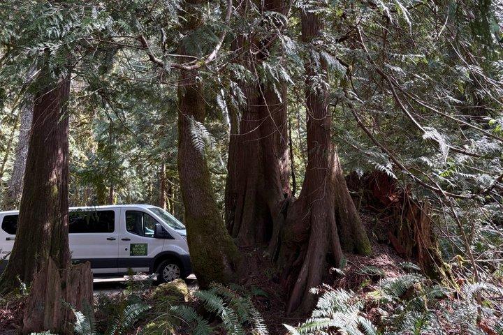 オリンピック国立公園、山、湖、熱帯雨林を巡る