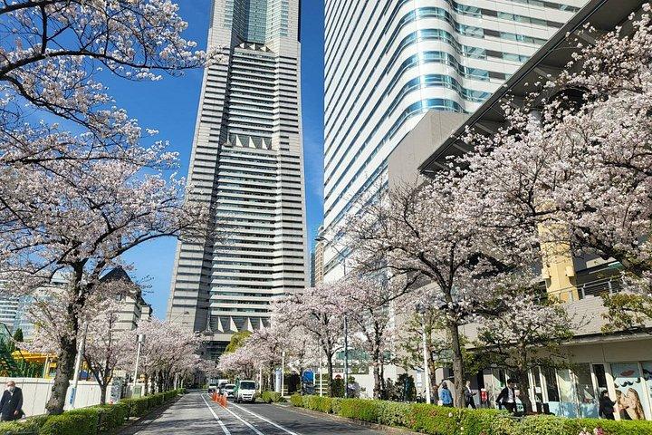 プライベート横浜・東京シティカーツアー