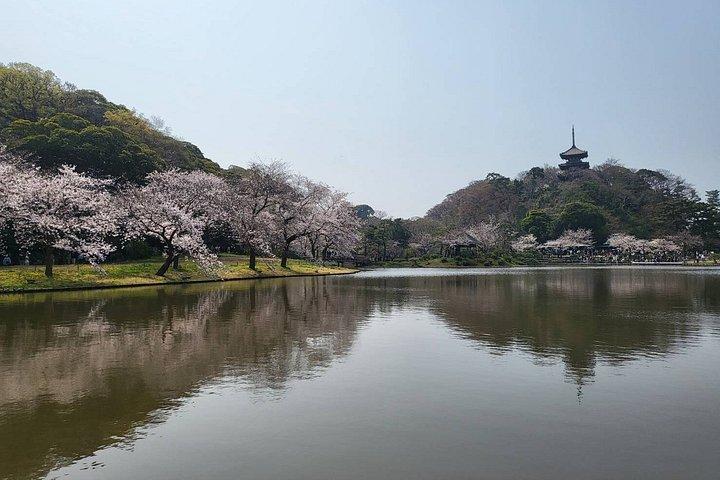 プライベート横浜・東京シティカーツアー