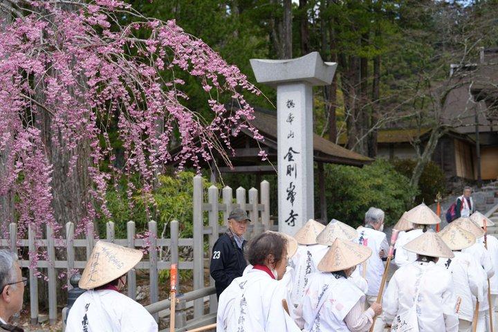 高野山スピリチュアル日帰り旅行：護摩火祭＆奥の院の森