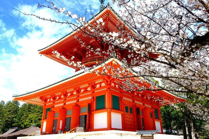 高野山スピリチュアル日帰り旅行：護摩火祭＆奥の院の森
