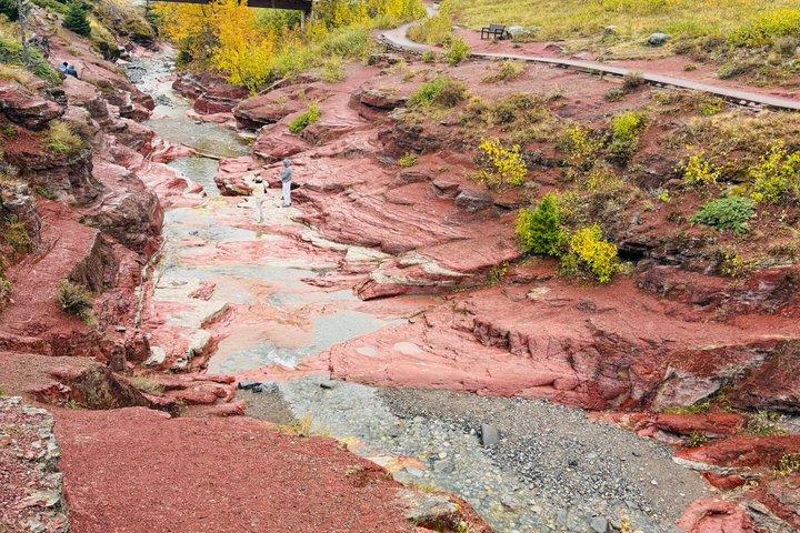 Waterton National Park Scenic Day Tour from Calgary