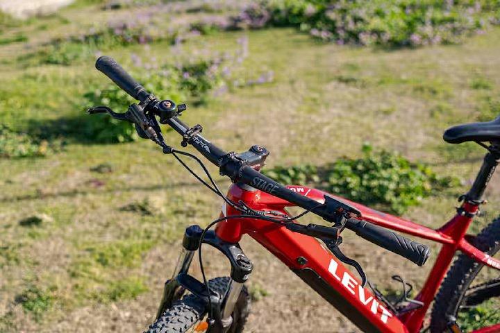 E-バイクシティツアー-歴史、芸術、戦争、平和、宗教＆神話