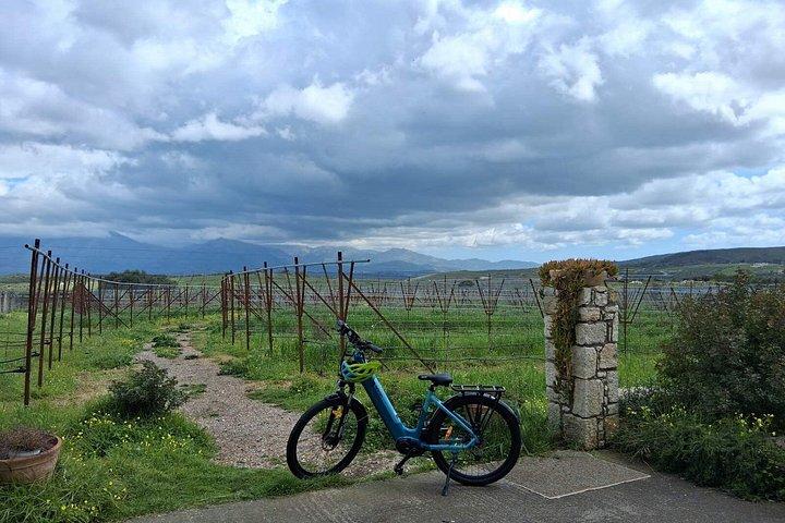 ヘラクルイオンからのアーチャネス電動自転車日帰り旅行（食事とワインテイスティング付き）
