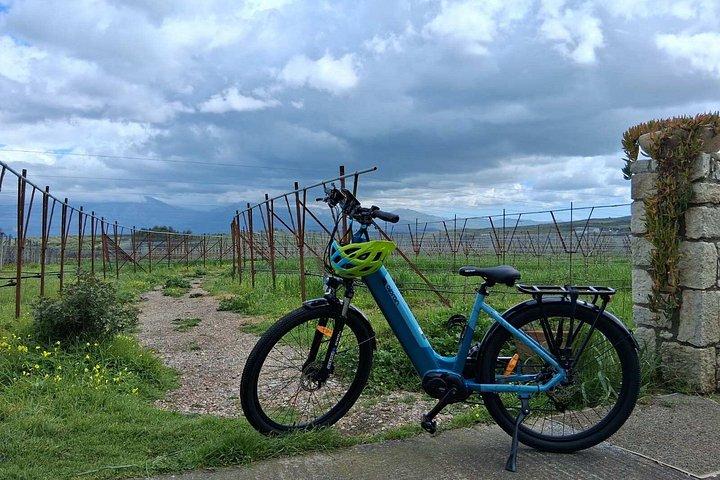 ヘラクルイオンからのアーチャネス電動自転車日帰り旅行（食事とワインテイスティング付き）
