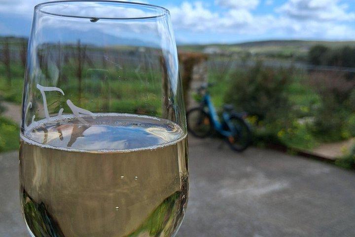 ヘラクルイオンからのアーチャネス電動自転車日帰り旅行（食事とワインテイスティング付き）
