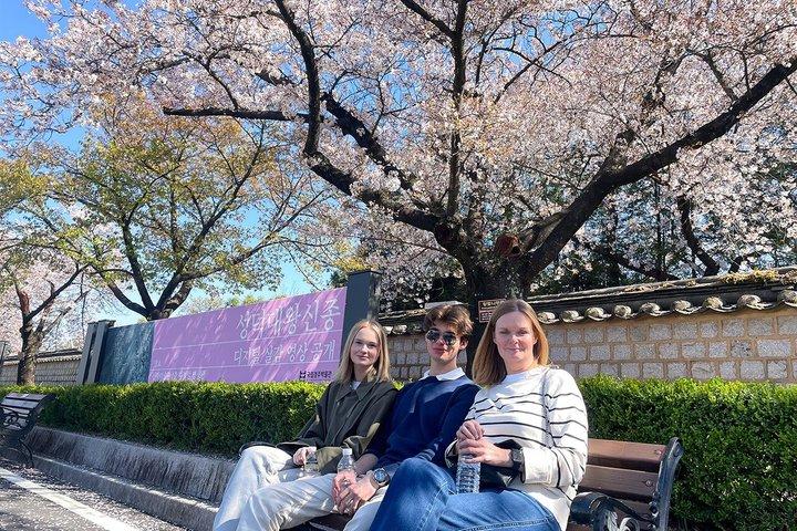 釜山から慶州ユネスコ本格ツアー