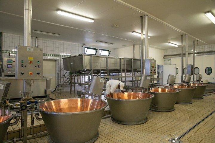 Reggio Emilia: Parmigiano Reggiano Cheese Tour & Tasting